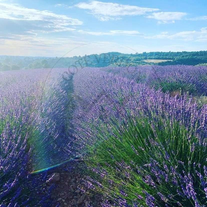 Cote Verdon 2 Quinson Eksteriør bilde